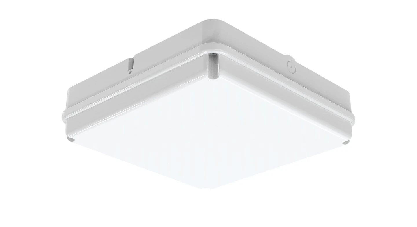 Pro S320 Bulkhead Light
